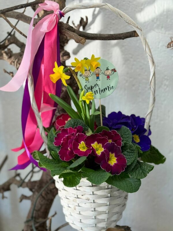 Corbeille de plantes Jardin de Mars