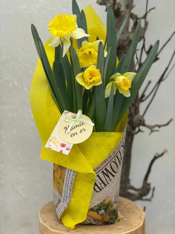 Plante Jonquille Bonne Fête Mamie