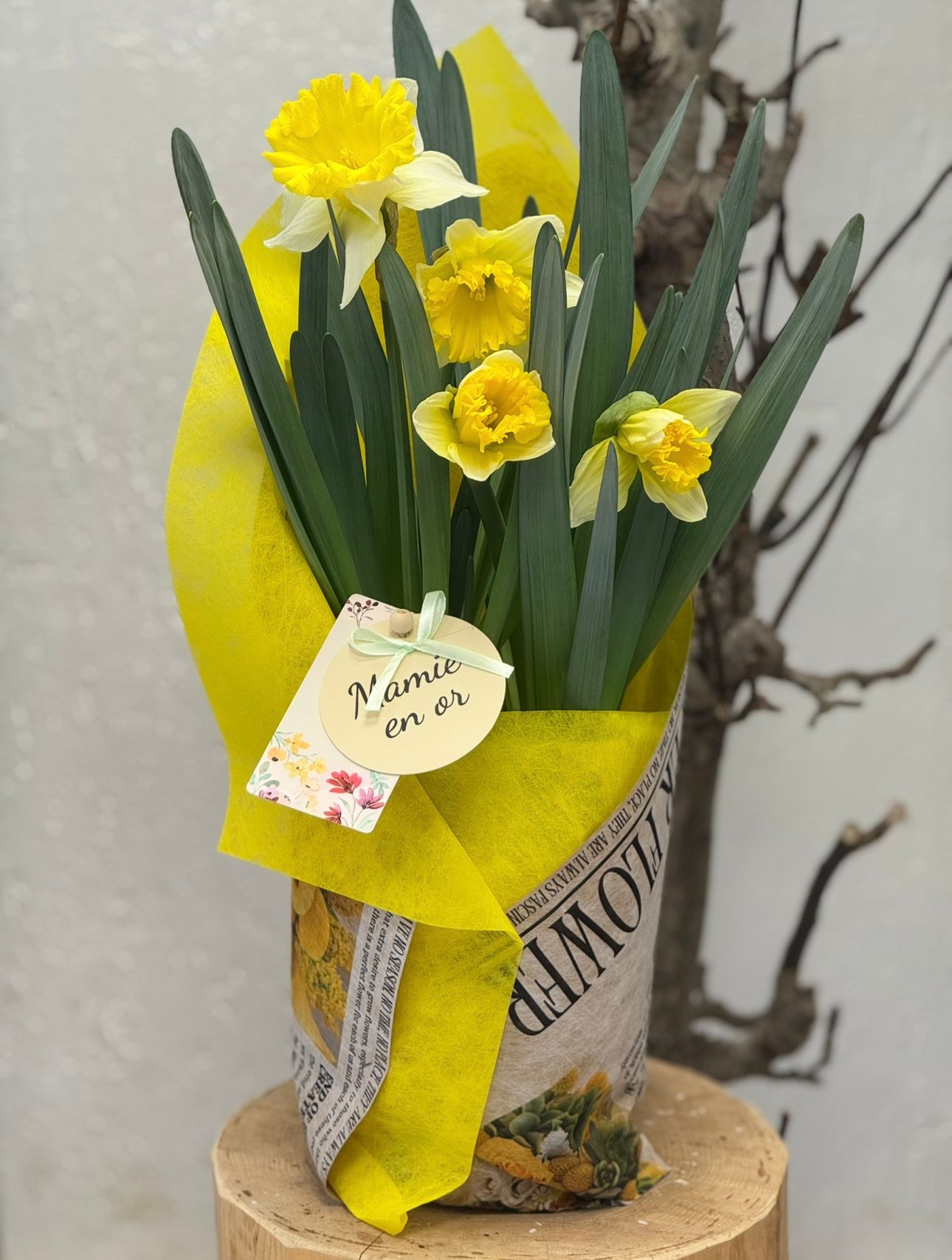 Plante Jonquille Bonne Fête Mamie