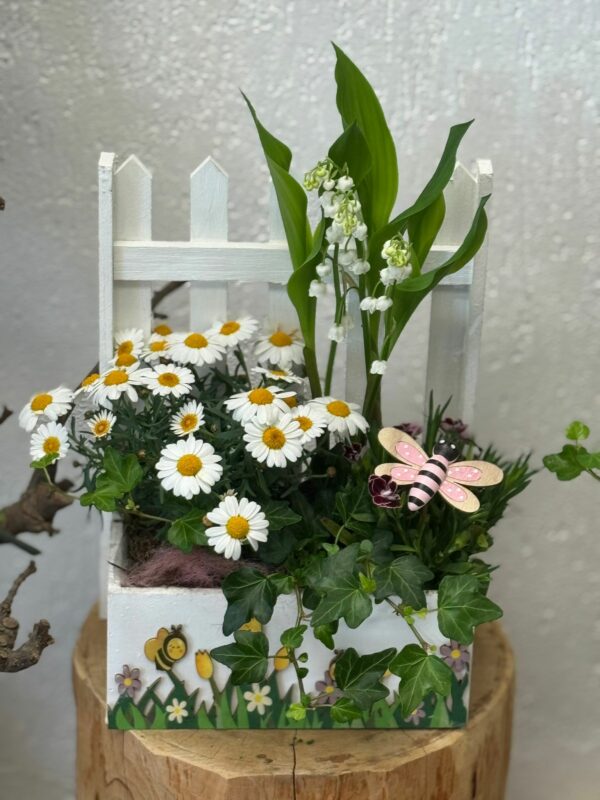 Composition de plantes