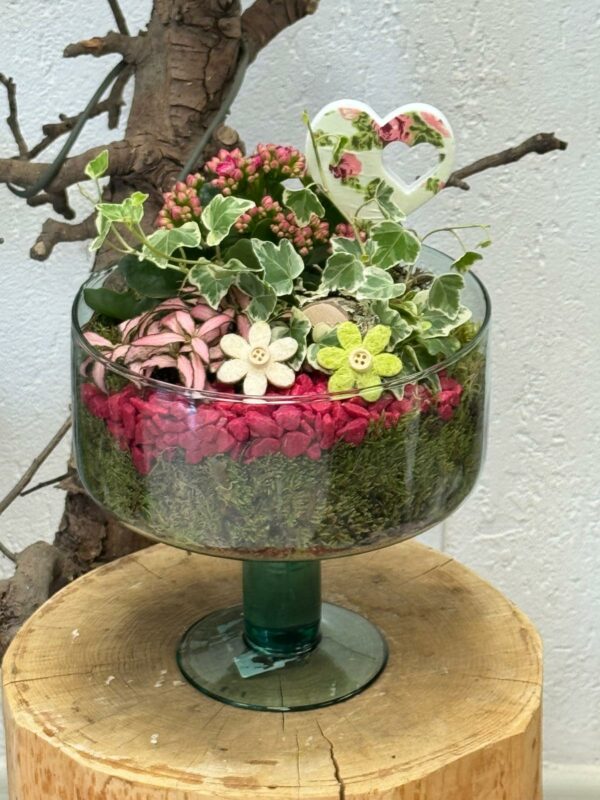 Composition de plantes