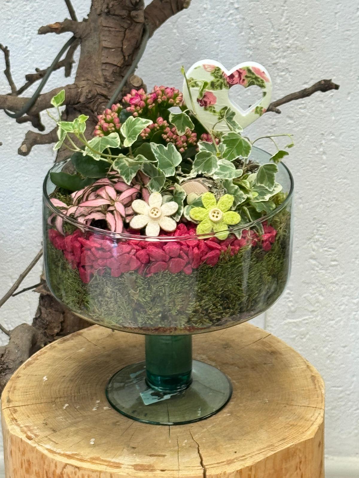 Composition de plantes